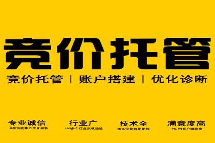 百度推广案例：品牌快速崛起的秘密